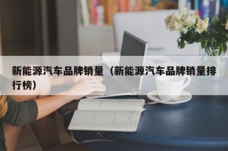 新能源汽车品牌销量（新能源汽车品牌销量排行榜）