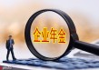 如何理解企业在市场中的业务布局？不同业务布局有何影响？