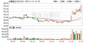 合盛硅业盘中涨停 公司回应
