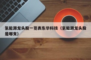 氢能源龙头股一览表东华科技（氢能源龙头股是哪支）