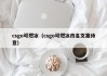 csgo可燃冰（csgo可燃冰改名文案诗意）