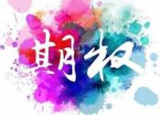 如何全面提升期权投资的市场适应性与灵活性？这些特性如何帮助投资者应对市场变化？