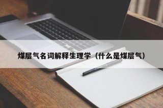 煤层气名词解释生理学（什么是煤层气）