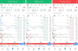 容大科技、新琪安“套路回拨”首日大涨，阿布扎比投资局认购的METALIGHT潜水三成
