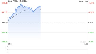 国泰君安期货：金银铂钯年末表现强势，明年要关注哪些变化？