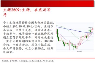 中天期货:原油继续走低 螺纹窄幅震荡