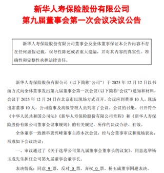 新华保险：选举杨玉成为董事长