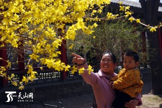 家庭资产配置的目的是什么？这种配置对财务管理有什么帮助？