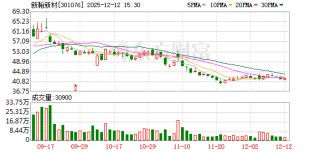 新瀚新材：变更签字注册会计师为田业阳和陆苏敏