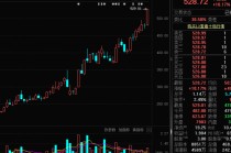 新纪录，832982，北交所首只500元+！业绩连增股揭秘