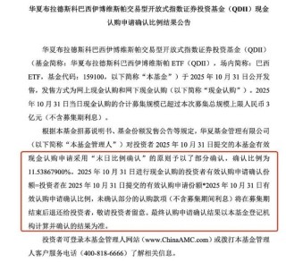 资金疯抢巴西ETF