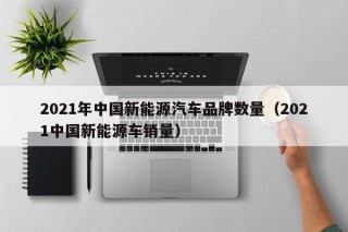 2021年中国新能源汽车品牌数量（2021中国新能源车销量）