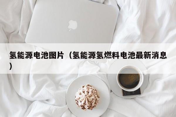 氢能源电池图片（氢能源氢燃料电池最新消息）  第1张