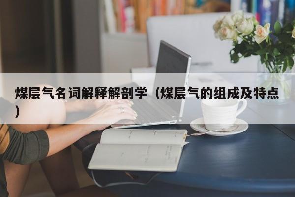 煤层气名词解释解剖学（煤层气的组成及特点）  第1张