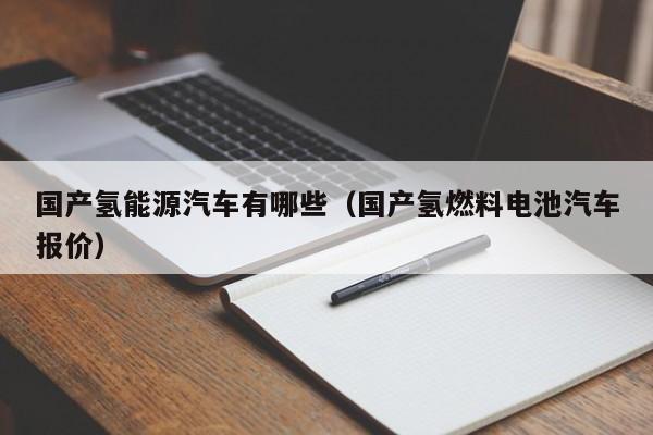 国产氢能源汽车有哪些（国产氢燃料电池汽车报价）  第1张