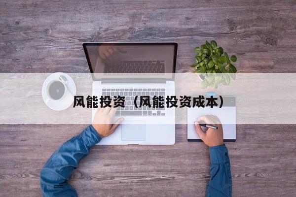 风能投资（风能投资成本）  第1张