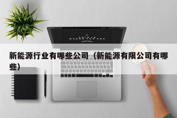 新能源行业有哪些公司（新能源有限公司有哪些）  第1张