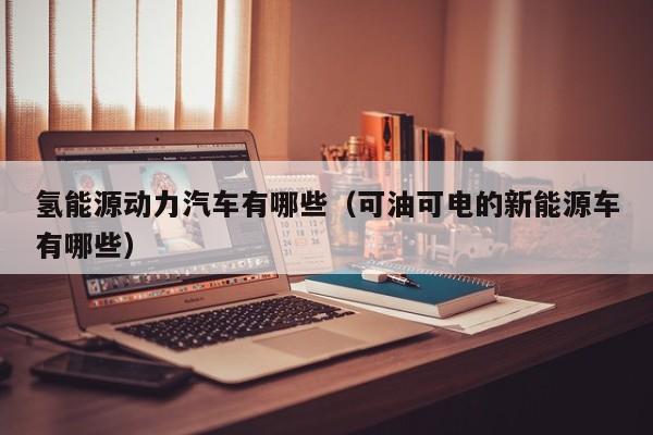 氢能源动力汽车有哪些（可油可电的新能源车有哪些）  第1张