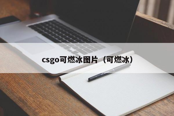 csgo可燃冰图片（可燃冰）  第1张