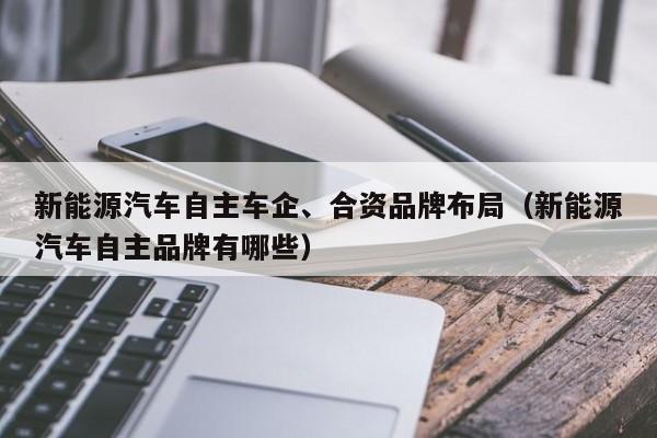 新能源汽车自主车企、合资品牌布局（新能源汽车自主品牌有哪些）  第1张