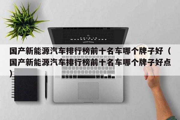 国产新能源汽车排行榜前十名车哪个牌子好（国产新能源汽车排行榜前十名车哪个牌子好点）  第1张