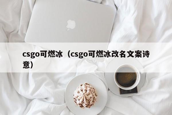 csgo可燃冰（csgo可燃冰改名文案诗意）  第1张