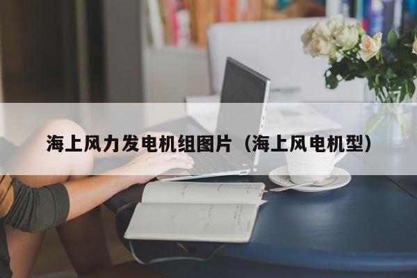 海上风力发电机组图片（海上风电机型）  第1张
