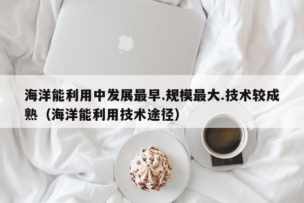 海洋能利用中发展最早.规模最大.技术较成熟（海洋能利用技术途径）  第1张