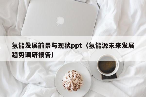 氢能发展前景与现状ppt（氢能源未来发展趋势调研报告）  第1张