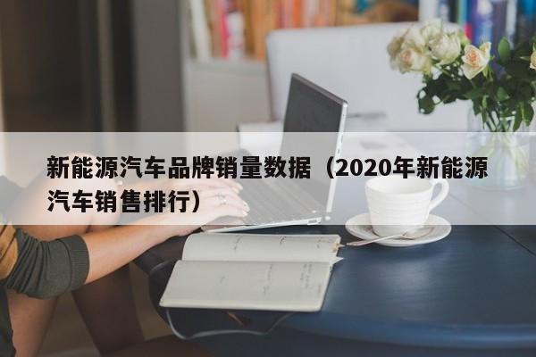 新能源汽车品牌销量数据（2020年新能源汽车销售排行）  第1张