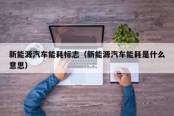 新能源汽车能耗标志（新能源汽车能耗是什么意思）  第1张