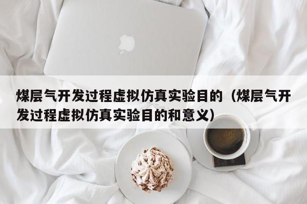 煤层气开发过程虚拟仿真实验目的（煤层气开发过程虚拟仿真实验目的和意义）  第1张