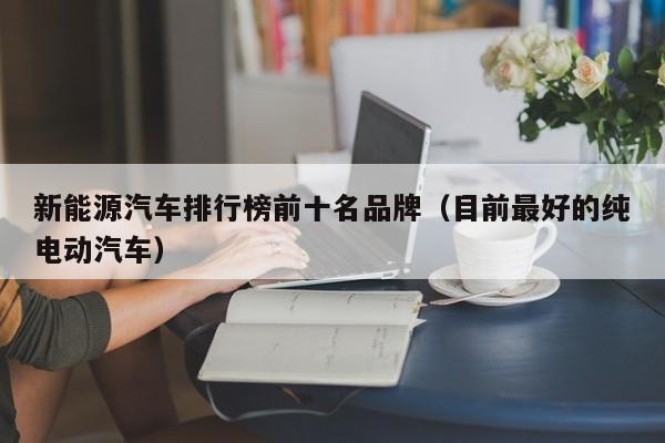 新能源汽车排行榜前十名品牌（目前最好的纯电动汽车）  第1张