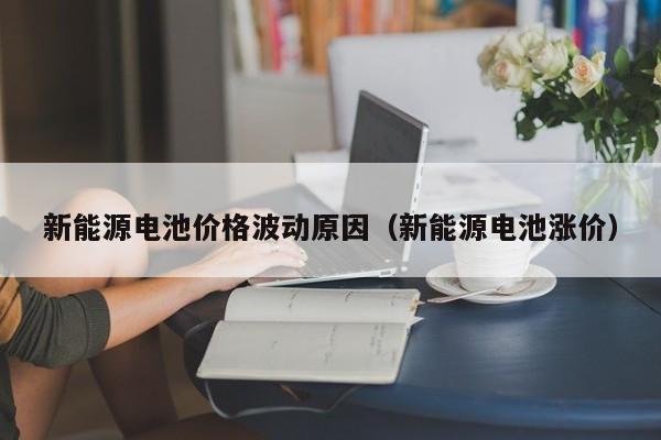 新能源电池价格波动原因（新能源电池涨价）  第1张