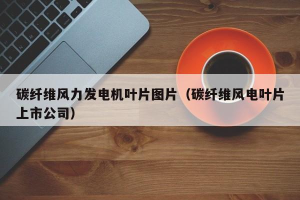 碳纤维风力发电机叶片图片（碳纤维风电叶片上市公司）  第1张