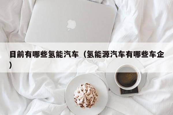 目前有哪些氢能汽车（氢能源汽车有哪些车企）  第1张