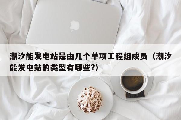 潮汐能发电站是由几个单项工程组成员（潮汐能发电站的类型有哪些?）  第1张
