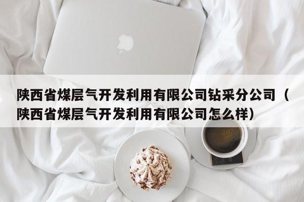 陕西省煤层气开发利用有限公司钻采分公司（陕西省煤层气开发利用有限公司怎么样）  第1张