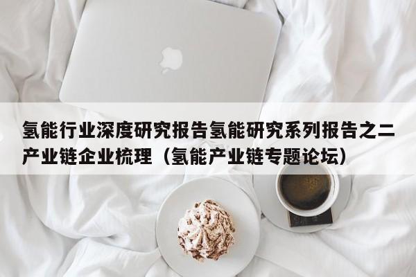 氢能行业深度研究报告氢能研究系列报告之二产业链企业梳理（氢能产业链专题论坛）  第1张