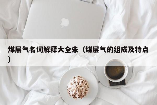 煤层气名词解释大全朱（煤层气的组成及特点）  第1张