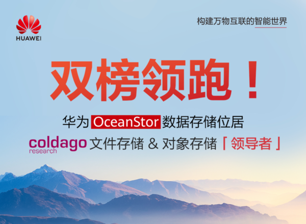 华为数据存储拿下国内双榜第一！与IBM微软并驾齐驱  第2张