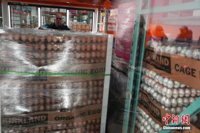 鸡蛋危机持续 美国到处找蛋遇阻:“欧洲也没有多余的” 第3张 鸡蛋危机持续 美国到处找蛋遇阻:“欧洲也没有多余的” 第3张