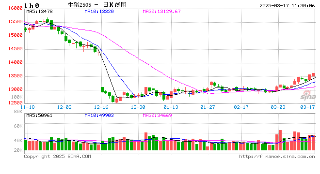 【市场聚焦】生猪：2025年2月生猪销售数据解读  第2张
