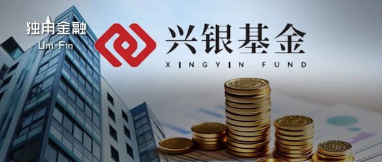 从“千亿神话”到缩水190亿，金融“女将”辞任兴银基金董事长  第1张