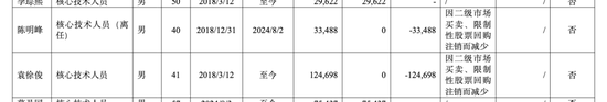 增量不增利，容百科技业绩“双降”  第3张