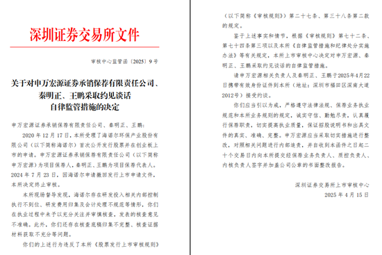 申报担责！申万宏源连收投行罚单  第8张