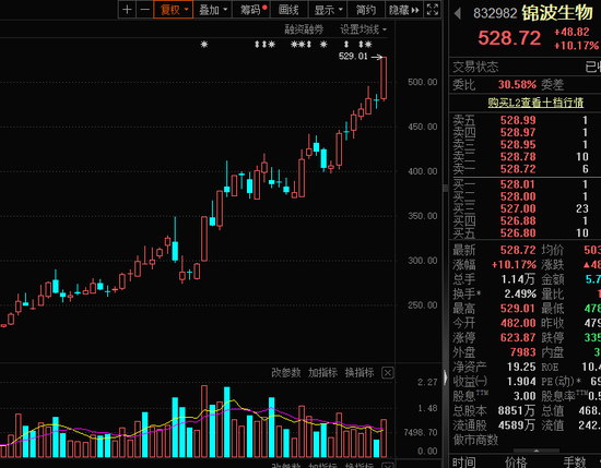 新纪录，832982，北交所首只500元+！业绩连增股揭秘  第1张