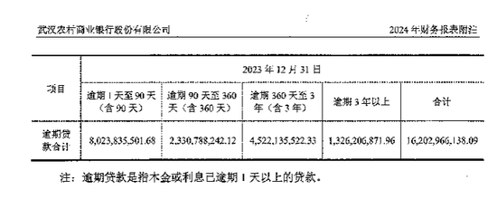 武汉农商行年报存疑：不到3000亿贷款中有近300亿逾期与不良，正常类贷款仍超94%？  第8张