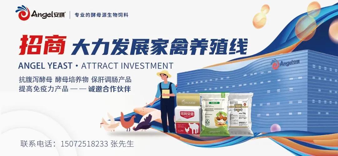 新希望发布告知函：所售商品猪只开屠宰票，不得流入二次育肥！丨牧原股份：进入国际资本市场比融资更重要  第1张