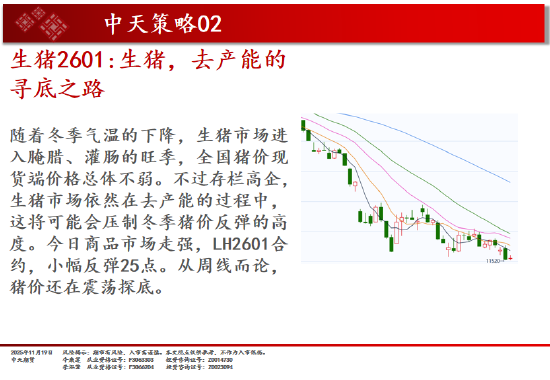 中天期货:商品指数板块分化小反弹 豆粕承压回落  第4张